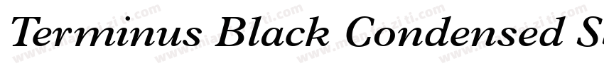 Terminus Black Condensed SSi Black字体转换